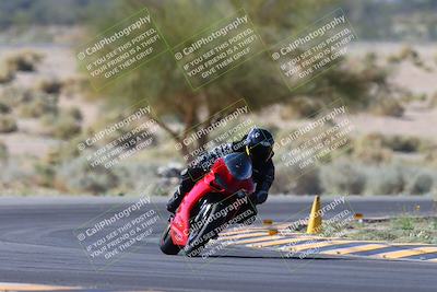 media/Apr-14-2024-SoCal Trackdays (Sun) [[70f97d3d4f]]/1-Turn 5 Tree of Life (920am)/